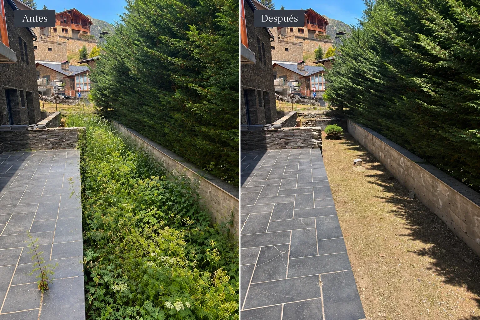 Desbrossament – Abans / Després